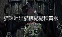 貓咪吐出貓糧糊糊和黃水(貓咪吐出貓糧糊糊和粘液)