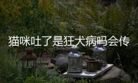 貓咪吐了是狂犬病嗎會(huì)傳染嗎？貓吐出來(lái)的東西有狂犬病嗎