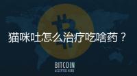 貓咪吐怎么治療吃啥藥？貓咪吐是怎么了?