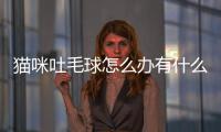 貓咪吐毛球怎么辦有什么治療(貓咪吐出來毛球怎么辦)