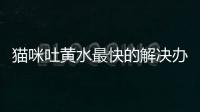 貓咪吐黃水最快的解決辦法(貓咪吐黃水是什么原因)