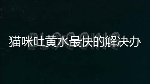 貓咪吐黃水最快的解決辦法(貓咪吐黃水會自愈嗎)