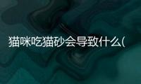 貓咪吃貓砂會導致什么(貓咪長期吃鈣片會導致什么)