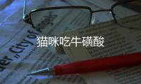 貓咪吃牛磺酸