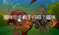 貓咪吃牛肉干行嗎？貓咪吃牛肉干上癮