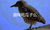 貓咪吃瓜子么
