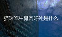 貓咪吃生骨肉好處是什么？貓咪吃生骨肉好處有哪些