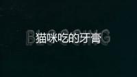 貓咪吃的牙膏