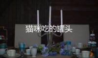 貓咪吃的罐頭