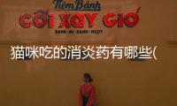 貓咪吃的消炎藥有哪些(貓咪吃了消炎藥吐黃水)