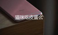 貓咪吃皮蛋么