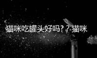 貓咪吃罐頭好嗎?？貓咪吃罐頭好嗎怎么吃