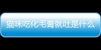 貓咪吃化毛膏就吐是什么原因(貓咪可以吃小黃魚干嗎)