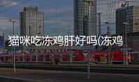 貓咪吃凍雞肝好嗎(凍雞肉干貓咪吃)