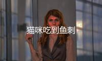 貓咪吃到魚刺