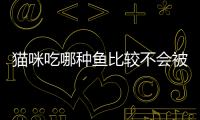 貓咪吃哪種魚比較不會被卡刺呢？貓吃什么魚刺少