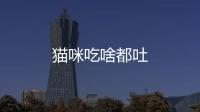 貓咪吃啥都吐