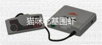貓咪吃基圍蝦
