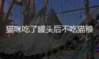 貓咪吃了罐頭后不吃貓糧了怎么辦？貓吃了罐頭之后不吃貓糧