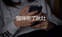 貓咪吃了就吐