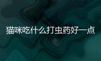 貓咪吃什么打蟲藥好一點？貓咪吃什么打蟲藥好使