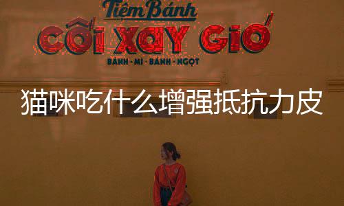 貓咪吃什么增強(qiáng)抵抗力皮膚(貓咪吃什么食物增強(qiáng)抵抗力)