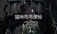 貓咪吃毛便秘