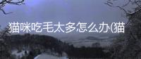 貓咪吃毛太多怎么辦(貓咪飽了會不會一直吃)