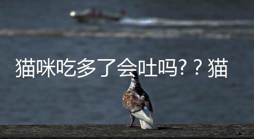 貓咪吃多了會(huì)吐嗎?？貓突然吐了一大堆未消化貓糧