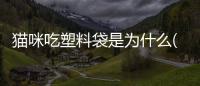 貓咪吃塑料袋是為什么(貓咪吃塑料袋是怎么回事需要補充什么營養(yǎng))