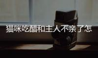 貓咪吃醋和主人不親了怎么辦？貓貓吃醋不理主人