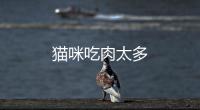 貓咪吃肉太多