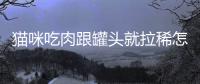 貓咪吃肉跟罐頭就拉稀怎么回事？貓咪吃肉罐頭為什么會吐