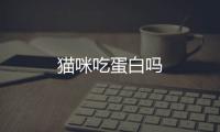 貓咪吃蛋白嗎