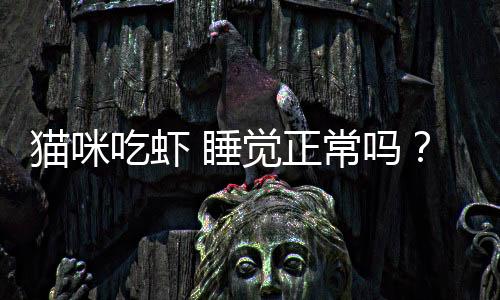 貓咪吃蝦 睡覺正常嗎？貓吃蝦干嘛