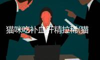 貓咪吃補血肝精拉稀(貓咪補血肝精副作用)