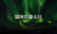 貓咪吃骨頭吐