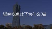 貓咪吃魚吐了為什么(貓咪吃魚吐了)