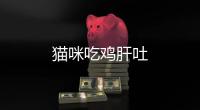 貓咪吃雞肝吐