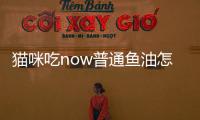 貓咪吃now普通魚油怎么樣？貓咪吃農藥了怎么催吐