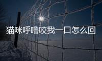 貓咪呼嚕咬我一口怎么回事？貓咪呼嚕咬我一口怎么辦