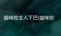 貓咪咬主人下巴(貓咪咬主人下巴和臉代表什么)