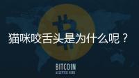 貓咪咬舌頭是為什么呢？貓咪咬舌頭怎么回事