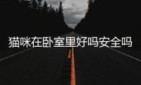 貓咪在臥室里好嗎安全嗎？小貓在臥室