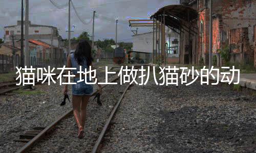 貓咪在地上做扒貓砂的動作，貓在地板上刨貓砂動作