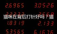 貓咪在背后打針好嗎？貓咪打針打后背