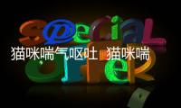 貓咪喘氣嘔吐  貓咪喘吐