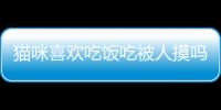 貓咪喜歡吃飯吃被人摸嗎為什么？貓吃飯的時候喜歡人摸它
