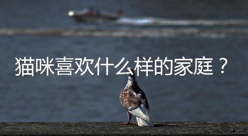 貓咪喜歡什么樣的家庭？貓喜歡什么樣的家庭環(huán)境
