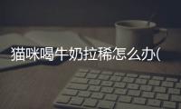 貓咪喝牛奶拉稀怎么辦(貓咪喝牛奶吐了怎么辦)